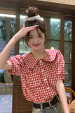 Person wearing a red and white checkered shirt with a blurred background