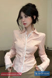 Long Sleeve Turn Down Collar Lace Trim Elegant Blouse Shirt