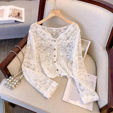 Long Sleeve V-Neck Embroidered Crochet Shirt