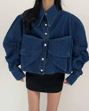 Long Sleeve Butterfly Pocket Denim Blouse Shirts