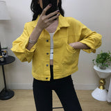 Long Sleeve Cropped Colorful Denim Jacket