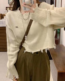 Long Sleeve Tassel Ripped Crop Sweater
