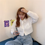 Long Sleeve Cute Basic Cropped Shirt