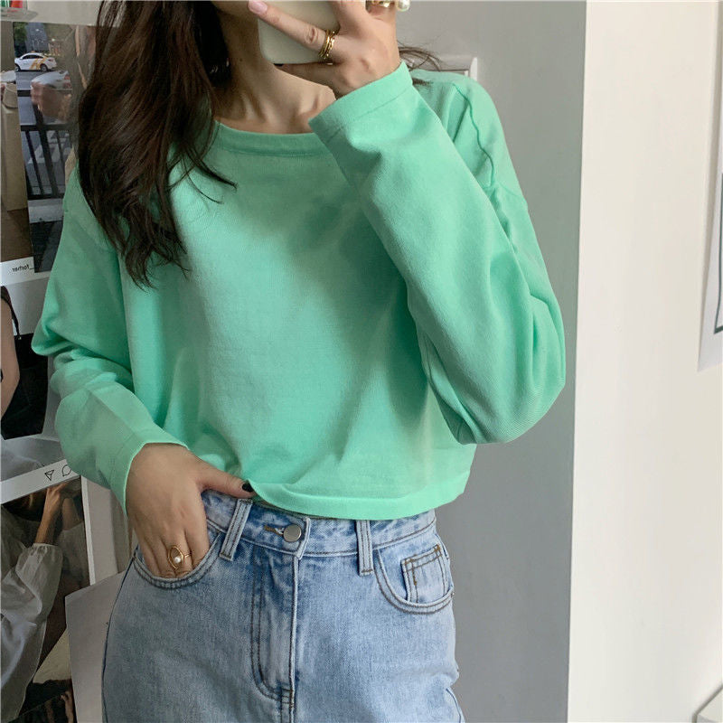 Long Sleeve Candy Colors Crop Sweater – Tomscloth