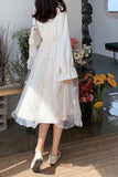 Long Sleeve Mesh Elegant Sweet Midi Dress