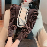 Long Sleeve Stand Collar Elegant Velvet Blouse Shirt