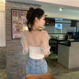 Short Sleeve Neck Lace Mesh Transparent Shirt