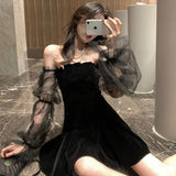 Vintage Mesh Off Shoulder Lantern Sleeve Gothic Dress