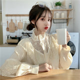 Loose High Neck Ruffled Lace Blouse Shirt