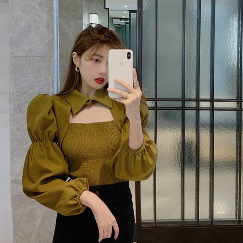 Long Sleeve Hollow Out Puff Sleeve Blouse Shirt