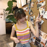 Striped Colors Slim Stretchy Knitted Crop TopsStriped Colors Slim Stretchy Knitted Crop Tops