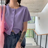 Short Sleeve Knitted Slim Cropped Shirt