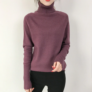 Cashmere Turtleneck Knitted Sweater