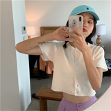 Short Sleeve Knitted Slim Cropped Shirt