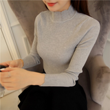 Turtleneck Sleeve Pullover